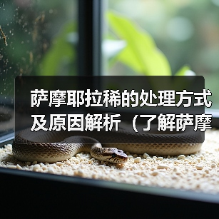 萨摩耶拉稀的处理方式及原因解析(了解萨摩耶拉稀的症状和处理方法,让您的宠物健康幸福)(图1) 萨摩耶拉稀的处理方式及原因解析(了解萨摩耶拉稀的症状和处理方法,让您的宠物健康幸福)(图1)