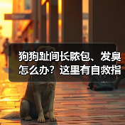 狗狗趾间长脓包、发臭怎么办?这里有自救指南!(图3) 狗狗趾间长脓包、发臭怎么办?这里有自救指南!(图3)