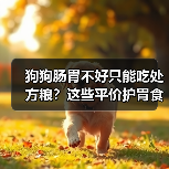 狗狗肠胃不好只能吃处方粮?这些平价护胃食材更适合日常调理(图3) 狗狗肠胃不好只能吃处方粮?这些平价护胃食材更适合日常调理(图3)