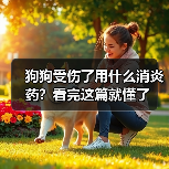 狗狗受伤了用什么消炎药?看完这篇就懂了(图3) 狗狗受伤了用什么消炎药?看完这篇就懂了(图3)