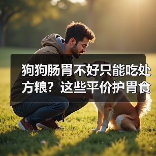 狗狗肠胃不好只能吃处方粮?这些平价护胃食材更适合日常调理(图4) 狗狗肠胃不好只能吃处方粮?这些平价护胃食材更适合日常调理(图4)
