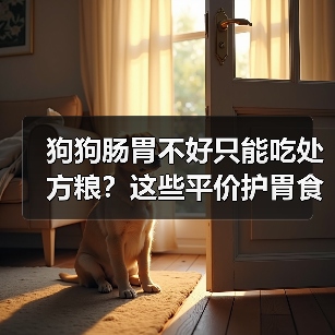 狗狗肠胃不好只能吃处方粮?这些平价护胃食材更适合日常调理(图1) 狗狗肠胃不好只能吃处方粮?这些平价护胃食材更适合日常调理(图1)