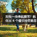 狗狗一换粮就腹泻?教你从 4 个细节排查肠胃敏感原因(图4) 狗狗一换粮就腹泻?教你从 4 个细节排查肠胃敏感原因(图4)