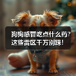 狗狗感冒吃点什么药?这些雷区千万别踩!(图2) 狗狗感冒吃点什么药?这些雷区千万别踩!(图2)