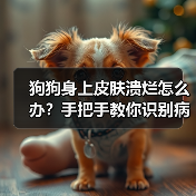 狗狗身上皮肤溃烂怎么办?手把手教你识别病因+科学处理(图4) 狗狗身上皮肤溃烂怎么办?手把手教你识别病因+科学处理(图4)