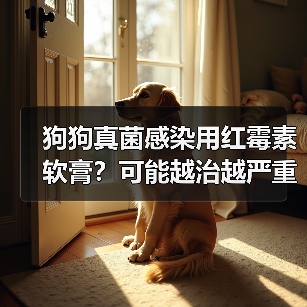 狗狗真菌感染用红霉素软膏?可能越治越严重!(图3) 狗狗真菌感染用红霉素软膏?可能越治越严重!(图3)