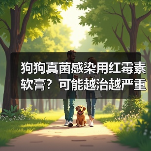 狗狗真菌感染用红霉素软膏?可能越治越严重!(图1) 狗狗真菌感染用红霉素软膏?可能越治越严重!(图1)