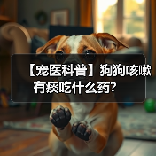 【宠医科普】狗狗咳嗽有痰吃什么药?(图2) 【宠医科普】狗狗咳嗽有痰吃什么药?(图2)