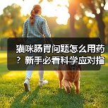 猫咪肠胃问题怎么用药?新手必看科学应对指南(图2) 猫咪肠胃问题怎么用药?新手必看科学应对指南(图2)