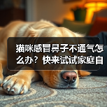 猫咪感冒鼻子不通气怎么办?快来试试家庭自救方法!(图1) 猫咪感冒鼻子不通气怎么办?快来试试家庭自救方法!(图1)