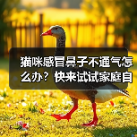 猫咪感冒鼻子不通气怎么办?快来试试家庭自救方法!(图3) 猫咪感冒鼻子不通气怎么办?快来试试家庭自救方法!(图3)