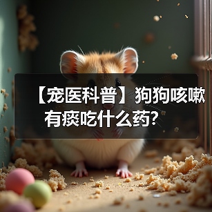【宠医科普】狗狗咳嗽有痰吃什么药?(图1) 【宠医科普】狗狗咳嗽有痰吃什么药?(图1)
