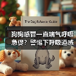 狗狗感冒一直喘气呼吸急促?警惕下呼吸道感染!(图2) 狗狗感冒一直喘气呼吸急促?警惕下呼吸道感染!(图2)
