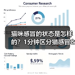 猫咪感冒的状态是怎样的？1分钟区分猫感冒&猫鼻支