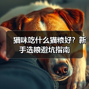 猫咪吃什么猫粮好?新手选粮避坑指南(图4) 猫咪吃什么猫粮好?新手选粮避坑指南(图4)