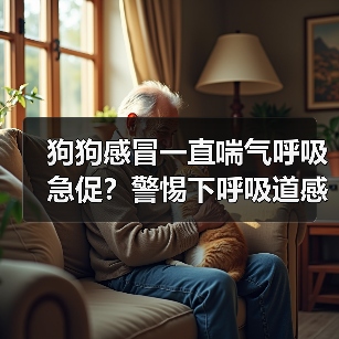 狗狗感冒一直喘气呼吸急促?警惕下呼吸道感染!(图4) 狗狗感冒一直喘气呼吸急促?警惕下呼吸道感染!(图4)