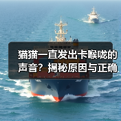 猫猫一直发出卡喉咙的声音?揭秘原因与正确应对方法(图4) 猫猫一直发出卡喉咙的声音?揭秘原因与正确应对方法(图4)