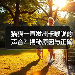 猫猫一直发出卡喉咙的声音?揭秘原因与正确应对方法(图2) 猫猫一直发出卡喉咙的声音?揭秘原因与正确应对方法(图2)