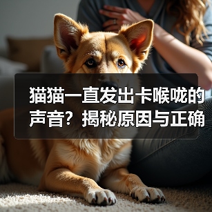 猫猫一直发出卡喉咙的声音?揭秘原因与正确应对方法(图1) 猫猫一直发出卡喉咙的声音?揭秘原因与正确应对方法(图1)