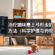 治疗猫咪患上弓形虫的方法(科学护理与药物治疗,)(图4) 治疗猫咪患上弓形虫的方法(科学护理与药物治疗,)(图4)