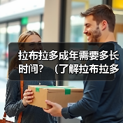 拉布拉多成年需要多长时间?(了解拉布拉多成年的关键阶段和发展时间表)(图2) 拉布拉多成年需要多长时间?(了解拉布拉多成年的关键阶段和发展时间表)(图2)