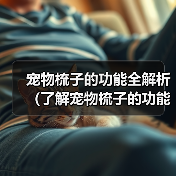 宠物梳子的功能全解析(了解宠物梳子的功能和选择方法,给宠物更好的护理)(图2) 宠物梳子的功能全解析(了解宠物梳子的功能和选择方法,给宠物更好的护理)(图2)