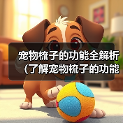 宠物梳子的功能全解析(了解宠物梳子的功能和选择方法,给宠物更好的护理)(图3) 宠物梳子的功能全解析(了解宠物梳子的功能和选择方法,给宠物更好的护理)(图3)