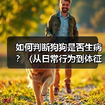 如何判断狗狗是否生病?(从日常行为到体征,教你识别狗狗的健康状态)(图4) 如何判断狗狗是否生病?(从日常行为到体征,教你识别狗狗的健康状态)(图4)