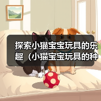 探索小猫宝宝玩具的乐趣(小猫宝宝玩具的种类及其益处)(图4) 探索小猫宝宝玩具的乐趣(小猫宝宝玩具的种类及其益处)(图4)