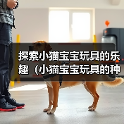 探索小猫宝宝玩具的乐趣(小猫宝宝玩具的种类及其益处)(图2) 探索小猫宝宝玩具的乐趣(小猫宝宝玩具的种类及其益处)(图2)