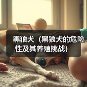 黑狼犬(黑狼犬的危险性及其养殖挑战)(图4) 黑狼犬(黑狼犬的危险性及其养殖挑战)(图4)