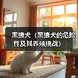 黑狼犬(黑狼犬的危险性及其养殖挑战)(图3) 黑狼犬(黑狼犬的危险性及其养殖挑战)(图3)