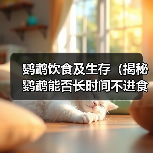 鹦鹉饮食及生存(揭秘鹦鹉能否长时间不进食的真相)(图4) 鹦鹉饮食及生存(揭秘鹦鹉能否长时间不进食的真相)(图4)