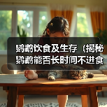 鹦鹉饮食及生存(揭秘鹦鹉能否长时间不进食的真相)(图3) 鹦鹉饮食及生存(揭秘鹦鹉能否长时间不进食的真相)(图3)