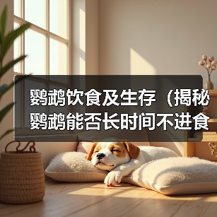 鹦鹉饮食及生存(揭秘鹦鹉能否长时间不进食的真相)(图2) 鹦鹉饮食及生存(揭秘鹦鹉能否长时间不进食的真相)(图2)