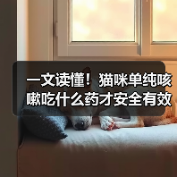 一文读懂!猫咪单纯咳嗽吃什么药才安全有效?(图1) 一文读懂!猫咪单纯咳嗽吃什么药才安全有效?(图1)