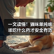 一文读懂!猫咪单纯咳嗽吃什么药才安全有效?(图2) 一文读懂!猫咪单纯咳嗽吃什么药才安全有效?(图2)