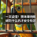 一文读懂!猫咪单纯咳嗽吃什么药才安全有效?(图4) 一文读懂!猫咪单纯咳嗽吃什么药才安全有效?(图4)