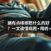 猫有点咳嗽吃什么药好?一文读懂病因+用药+护理全攻略(图4) 猫有点咳嗽吃什么药好?一文读懂病因+用药+护理全攻略(图4)