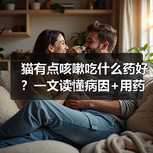 猫有点咳嗽吃什么药好?一文读懂病因+用药+护理全攻略(图2) 猫有点咳嗽吃什么药好?一文读懂病因+用药+护理全攻略(图2)