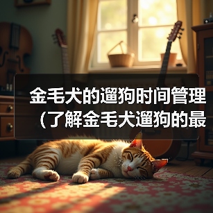 金毛犬的遛狗时间管理(了解金毛犬遛狗的最佳时间和时长)(图4) 金毛犬的遛狗时间管理(了解金毛犬遛狗的最佳时间和时长)(图4)