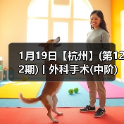 1月19日【杭州】(第122期)丨外科手术(中阶)实战班,2人/组提供一猫一狗,实操超多!(图2) 1月19日【杭州】(第122期)丨外科手术(中阶)实战班,2人/组提供一猫一狗,实操超多!(图2)