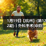 1月19日【杭州】(第122期)丨外科手术(中阶)实战班,2人/组提供一猫一狗,实操超多!(图1) 1月19日【杭州】(第122期)丨外科手术(中阶)实战班,2人/组提供一猫一狗,实操超多!(图1)