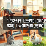1月26日【重庆】(第125期)丨犬猫外科(高阶)班!含SUB(人人可实操)、乳糜胸等技术!(图2) 1月26日【重庆】(第125期)丨犬猫外科(高阶)班!含SUB(人人可实操)、乳糜胸等技术!(图2)