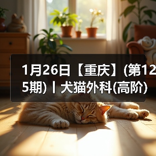1月26日【重庆】(第125期)丨犬猫外科(高阶)班!含SUB(人人可实操)、乳糜胸等技术!(图3) 1月26日【重庆】(第125期)丨犬猫外科(高阶)班!含SUB(人人可实操)、乳糜胸等技术!(图3)