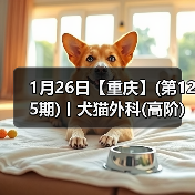 1月26日【重庆】(第125期)丨犬猫外科(高阶)班！含SUB(人人可实操)、乳糜胸等技术！（图4）