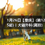 1月26日【重庆】(第125期)丨犬猫外科(高阶)班！含SUB(人人可实操)、乳糜胸等技术！（图2）