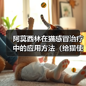 阿莫西林在猫感冒治疗中的应用方法(给猫使用阿莫西林治疗感冒的正确方法)(图2) 阿莫西林在猫感冒治疗中的应用方法(给猫使用阿莫西林治疗感冒的正确方法)(图2)