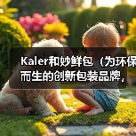 Kaler和妙鲜包（为环保而生的创新包装品牌，以可持续发展引领行业转型升级）（图3）