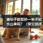 猫胡子能剪掉一半还能长出来吗？（探究猫胡子再生能力的神奇之处）